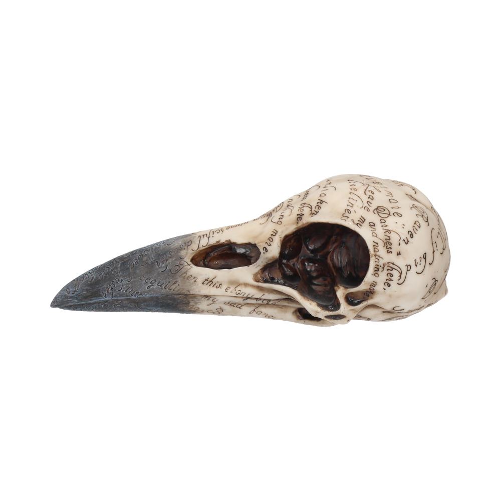 Edgar's Raven Skull Figurine Edgar Allen Poe Ornament