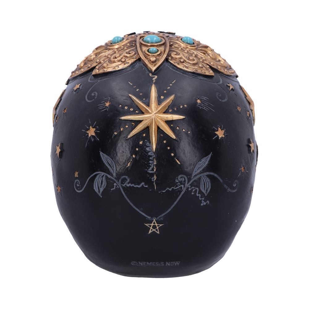 Destiny Palmistry Skull 18cm