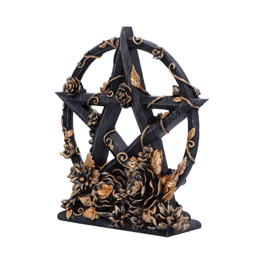 Dark Floral Decorative Pentagram Ornament