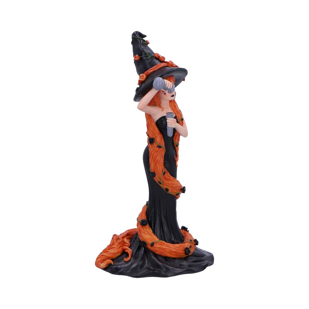 Cinnamon Sugar & Spice Witch Figurine 23.5cm