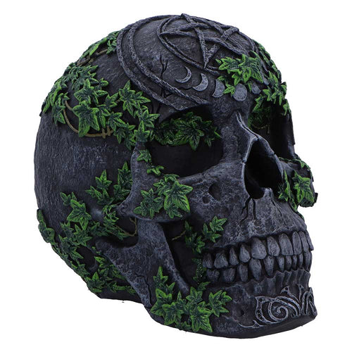 Aged Pentagram Skull Figurine