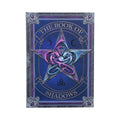 Anne Stokes The Book of Shadows Journal 17.7cm