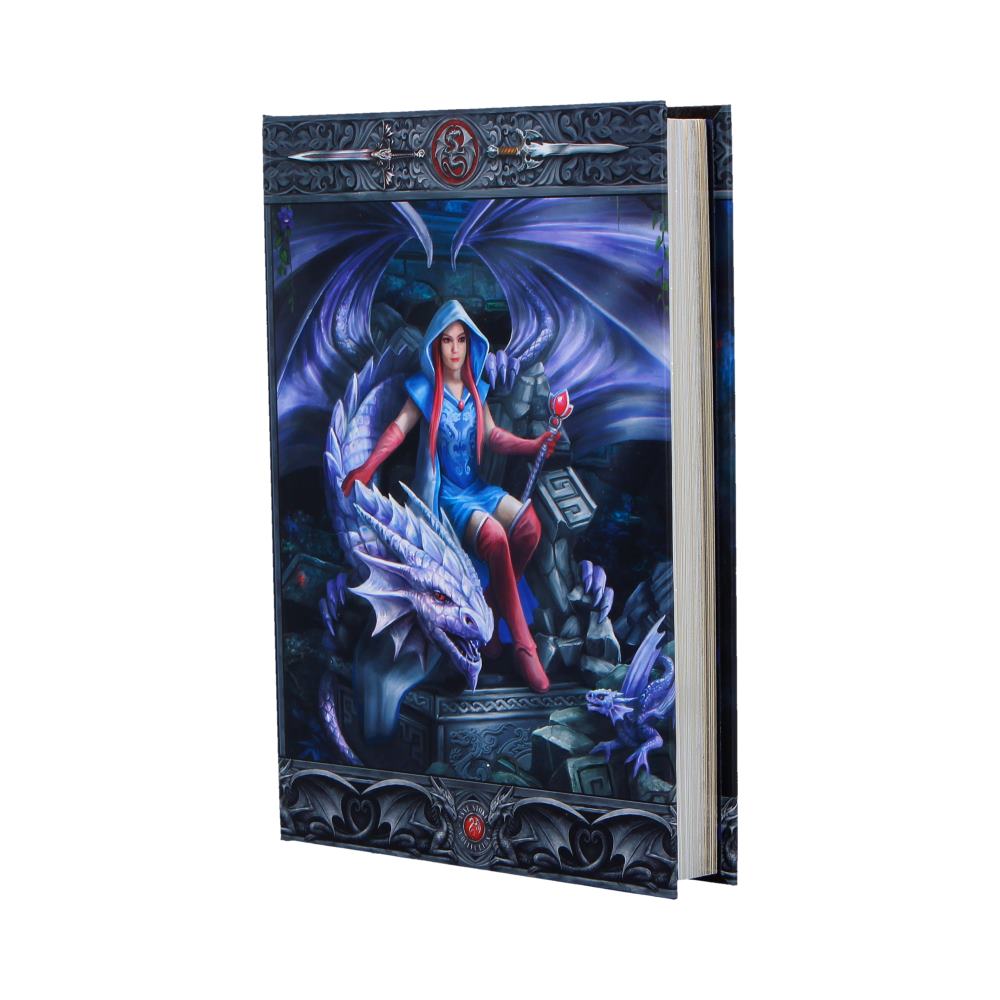 Anne Stokes The Dragon Mage Journal 17.7cm