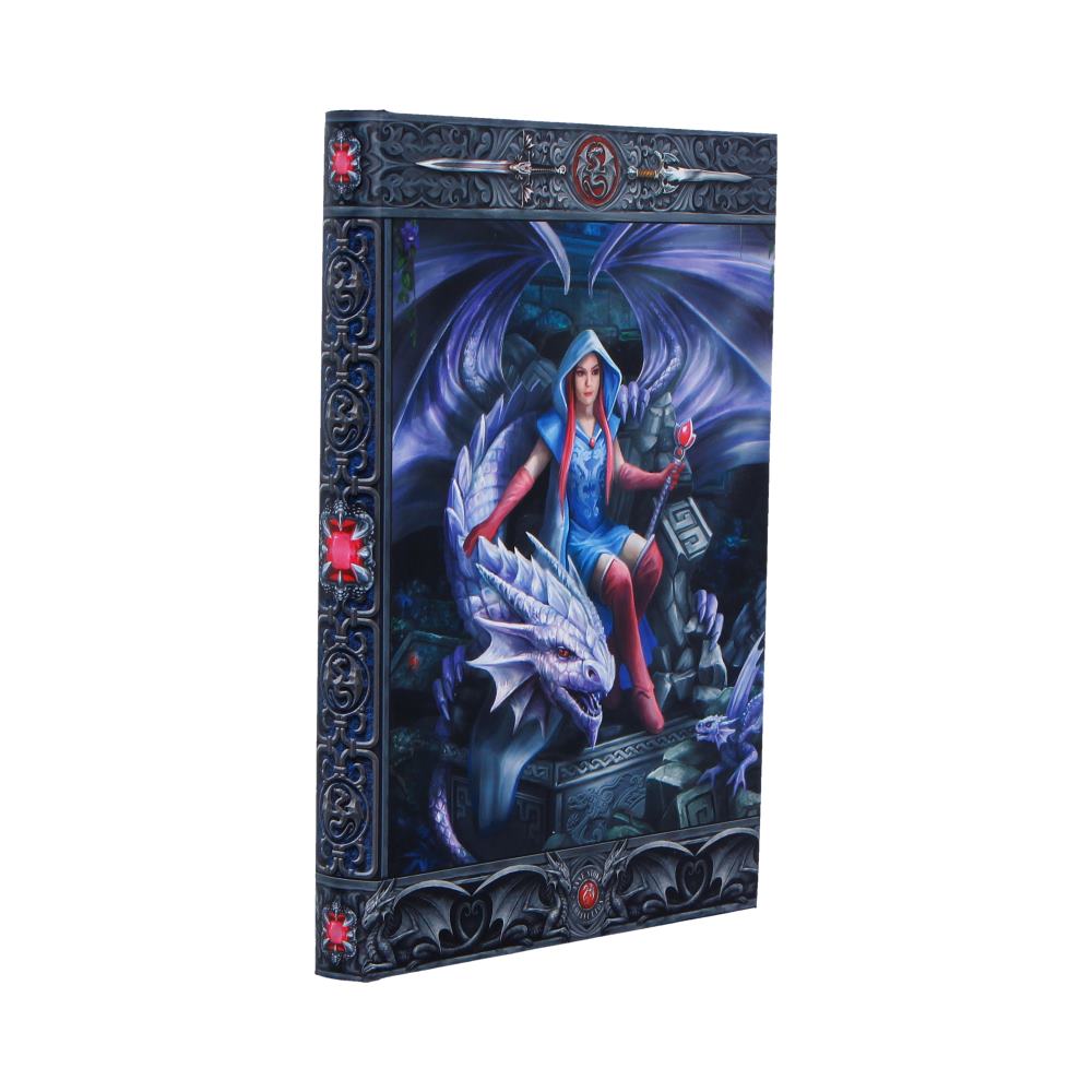 Anne Stokes The Dragon Mage Journal 17.7cm