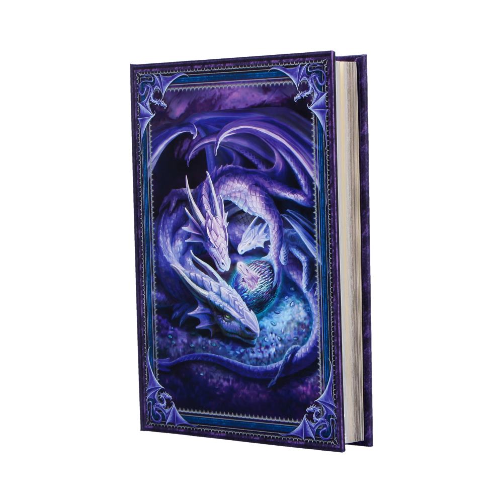 Anne Stokes Welcome Hatchling Journal 17.7cm