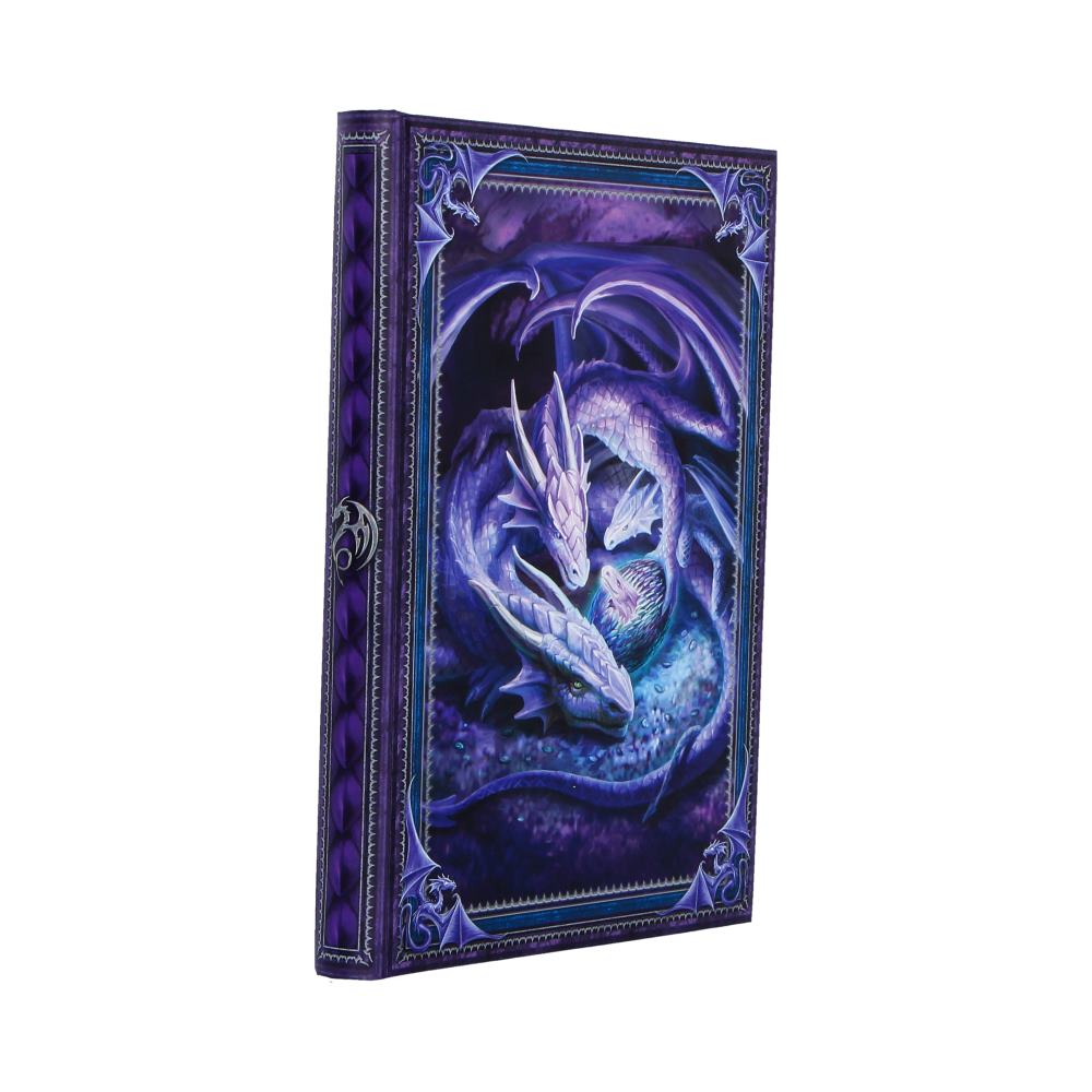 Anne Stokes Welcome Hatchling Journal 17.7cm