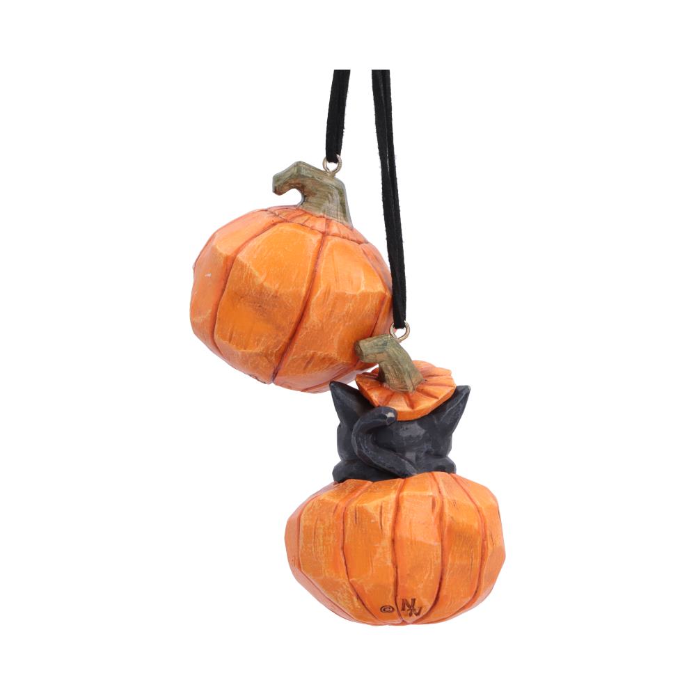 Pumpkin and Patch Halloween Hanging Ornaments (Set of 2) 7.7cm