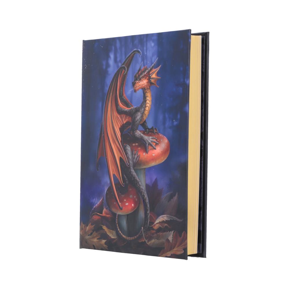 Anne Stokes Mushroom Dragon Journal 18cm