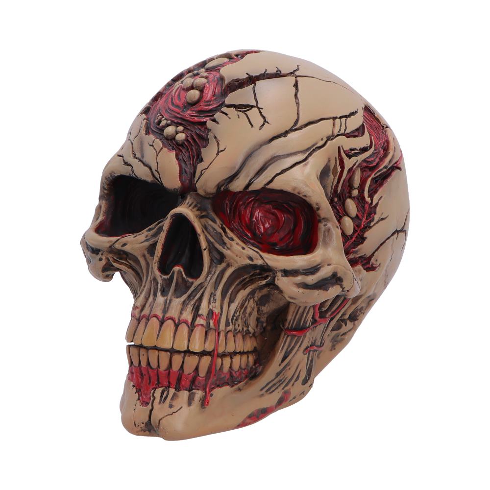 The Walker of Death Zombie Skull 15.5cm