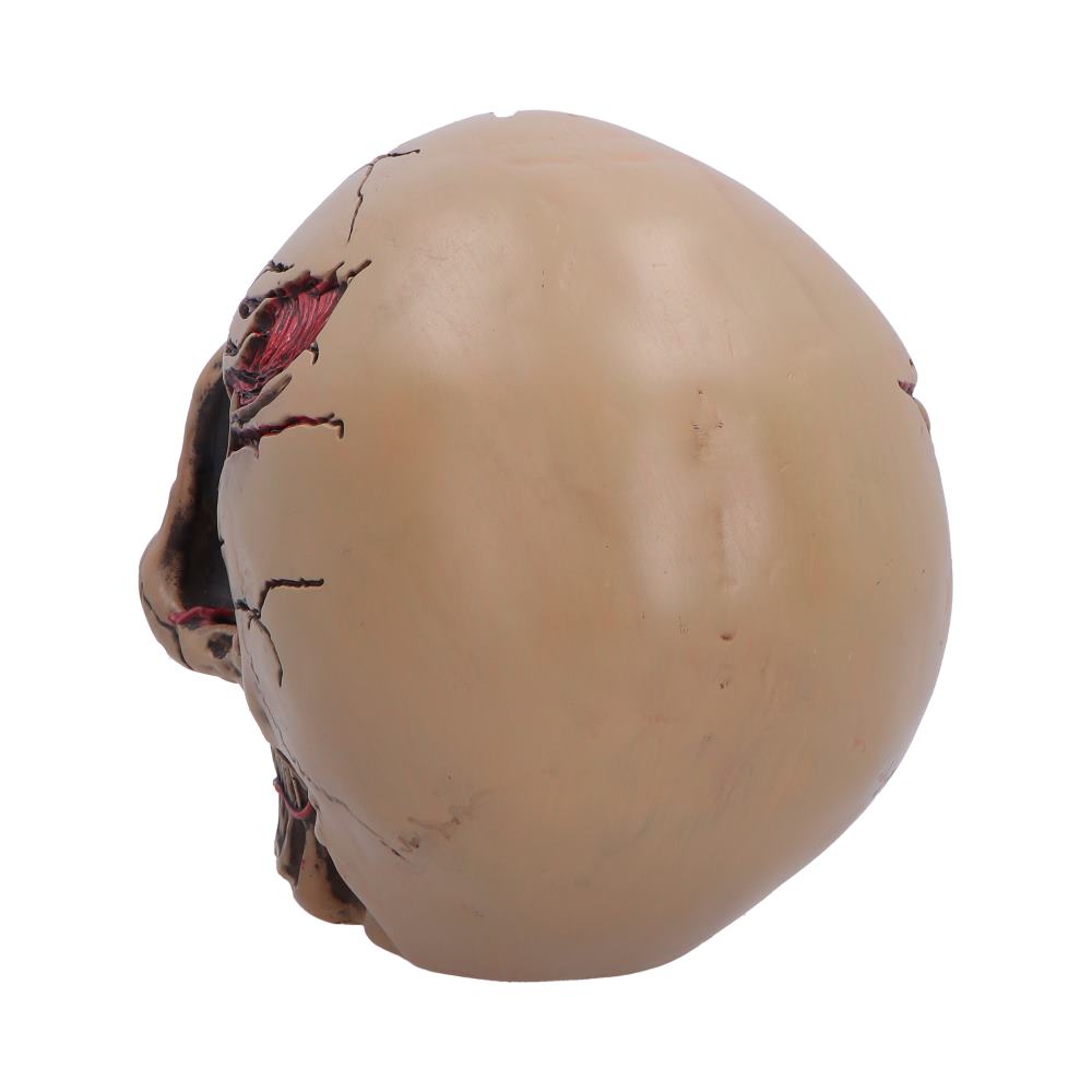The Walker of Death Zombie Skull 15.5cm
