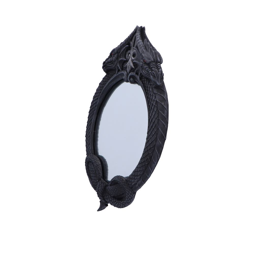 The Reflector Gothic Dragon Mirror