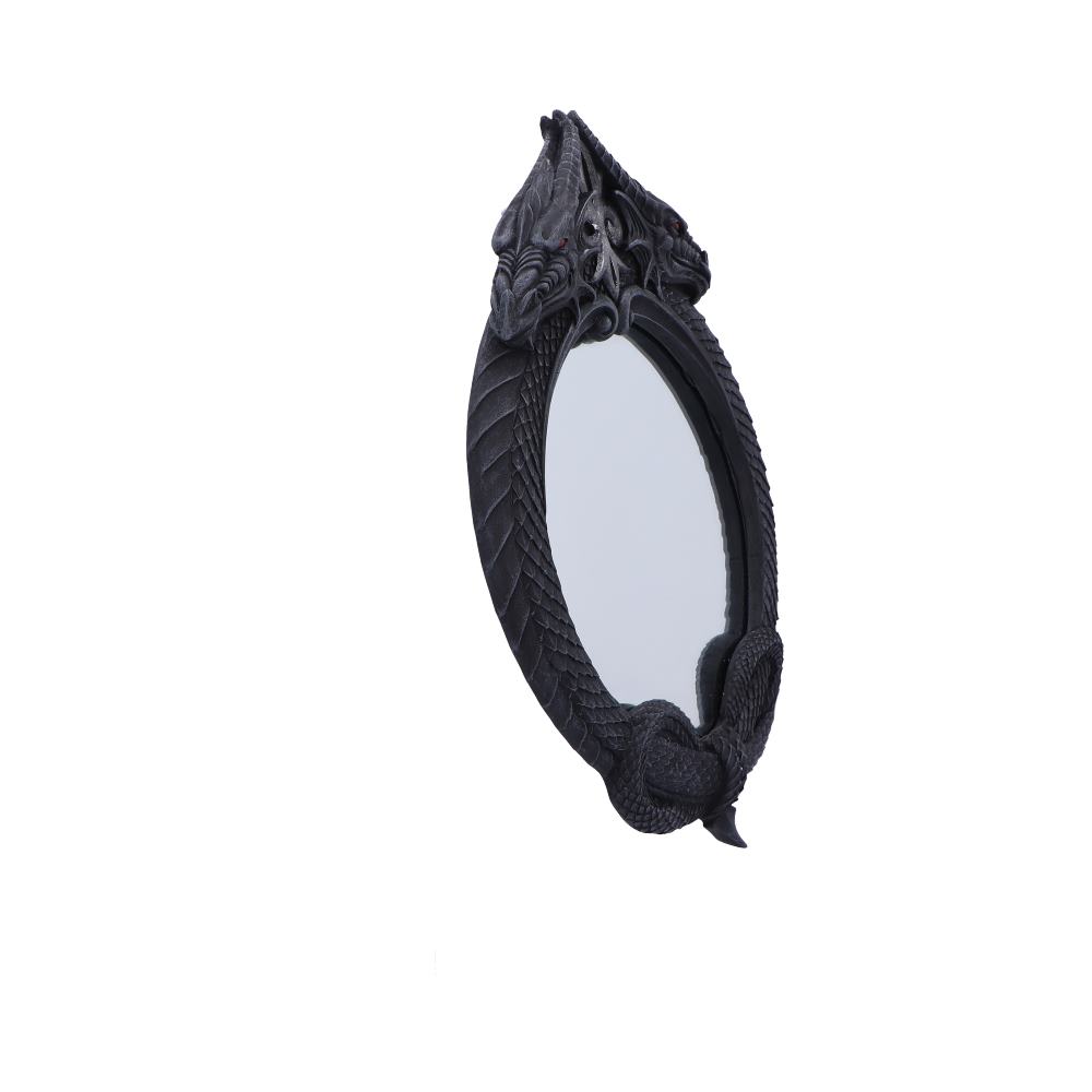 The Reflector Gothic Dragon Mirror