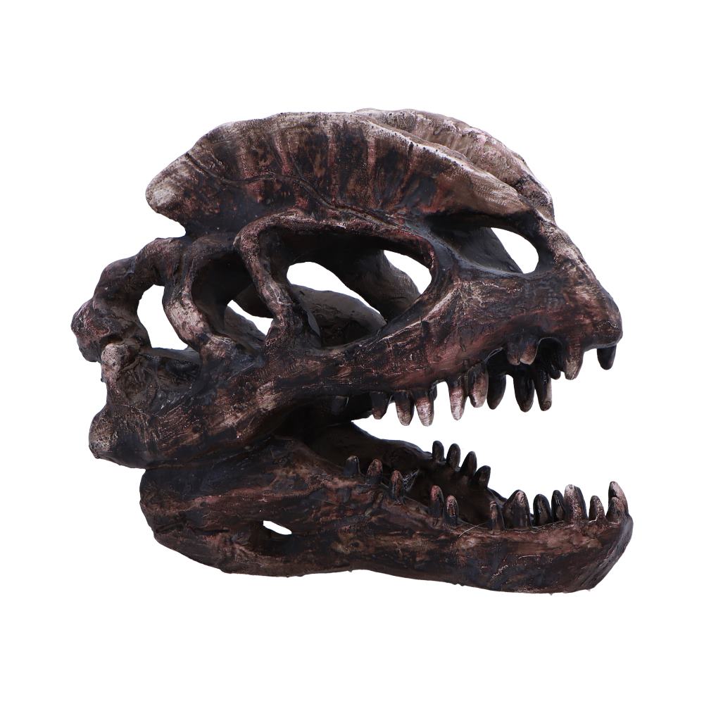 Dilophosaurus Skull Resin Replica