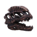 Dilophosaurus Skull Resin Replica