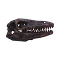 Archaeopteryx Skull Decorative Resin Replica