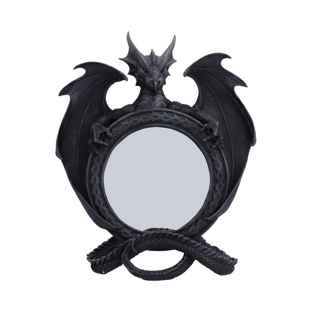 Darkwing Reflection Display Mirror 37.3cm