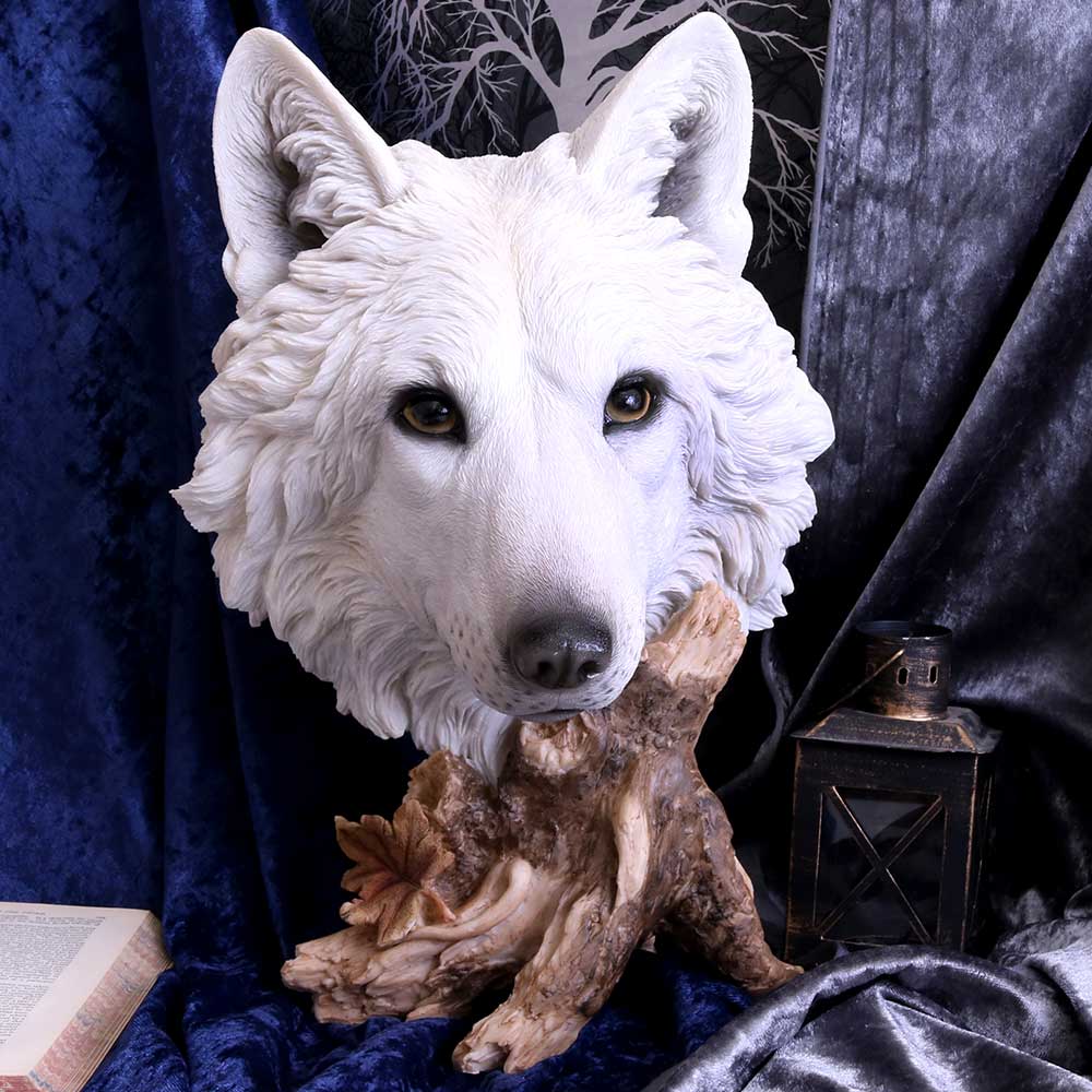 Wild Winter White Wolf Bust 27.5cm