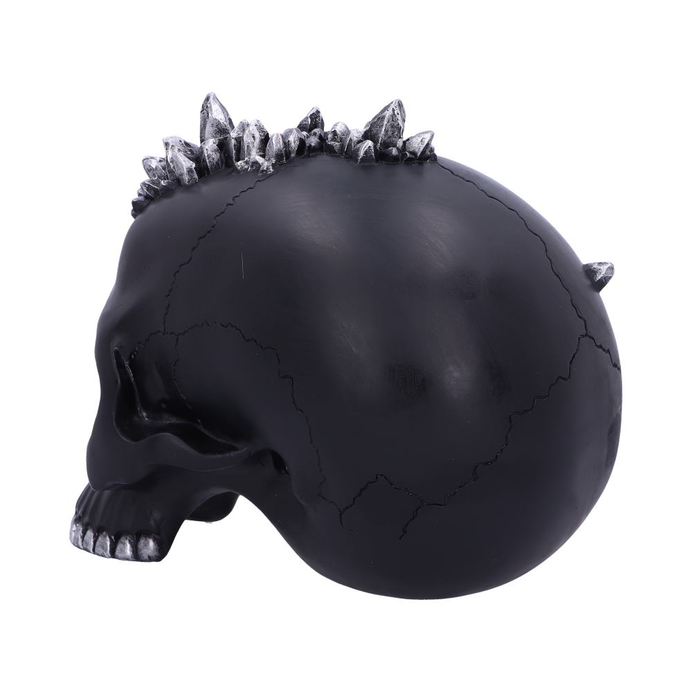 Crystal Cave Small Dragon Hiding within a Crystal Skull
