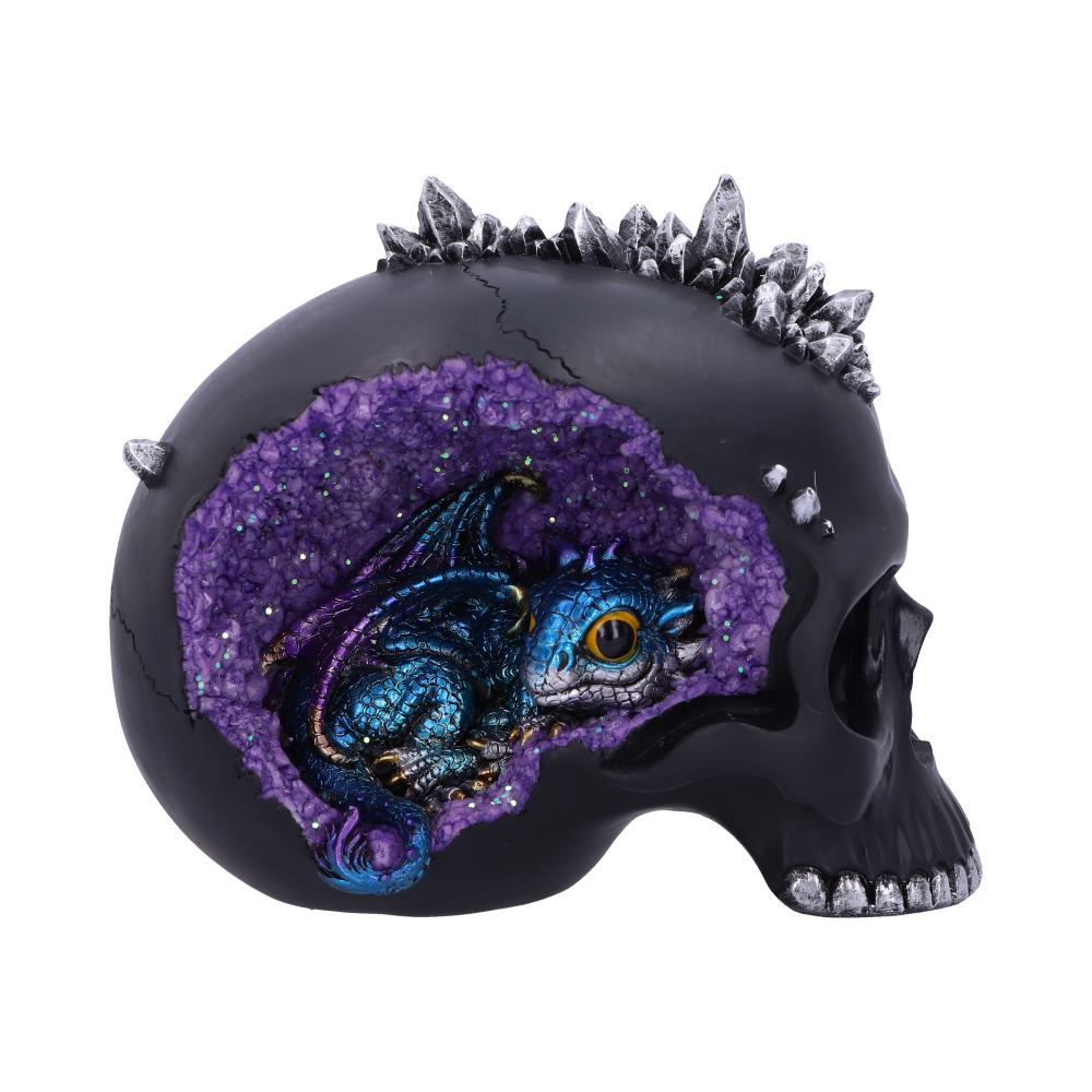 Crystal Cave Small Dragon Hiding within a Crystal Skull