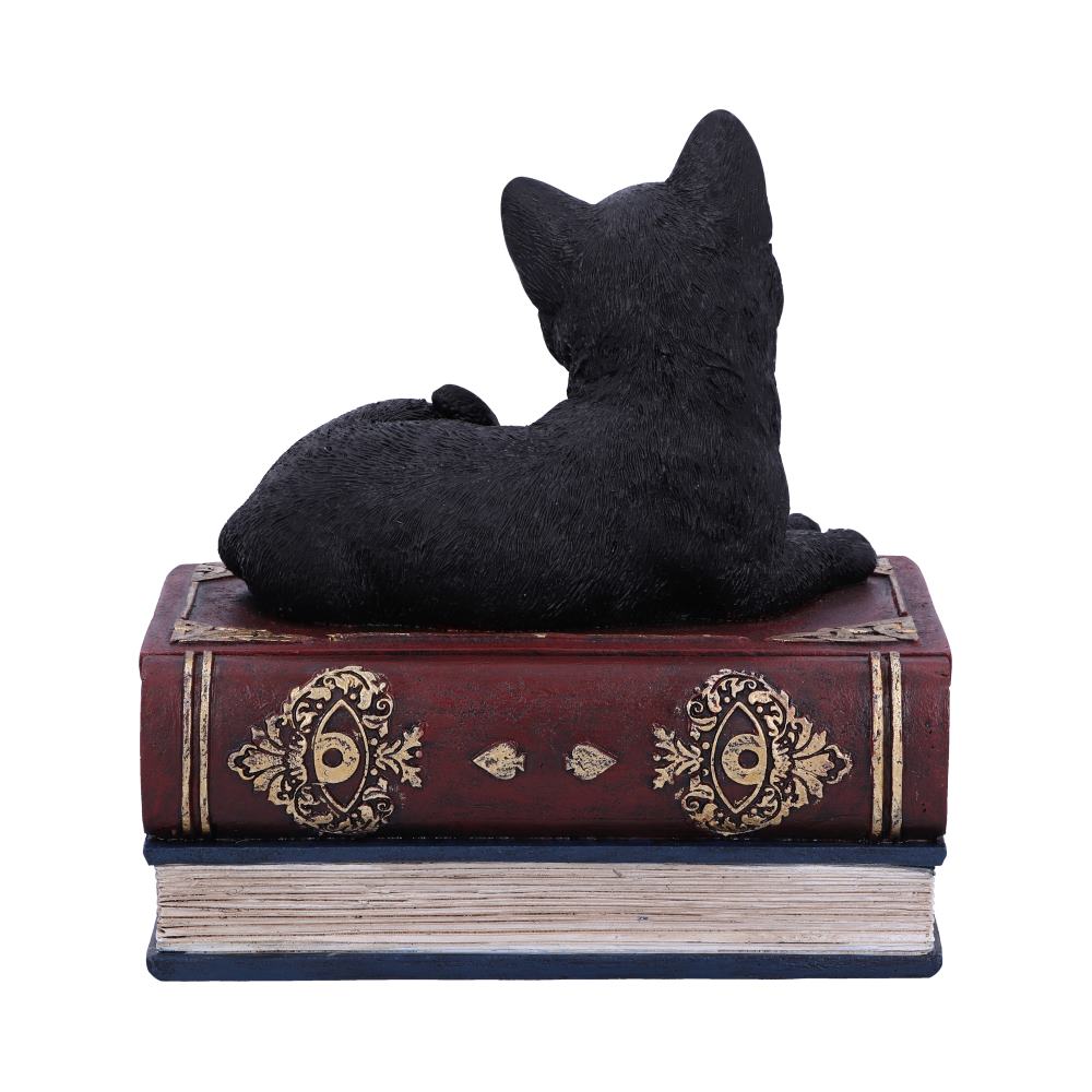 Salems Spells Witches Familiar Black Cat and Spellbook Box