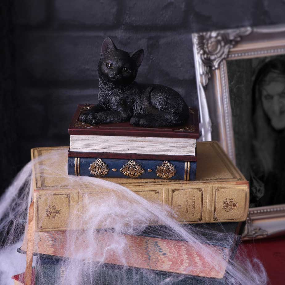 Salems Spells Witches Familiar Black Cat and Spellbook Box