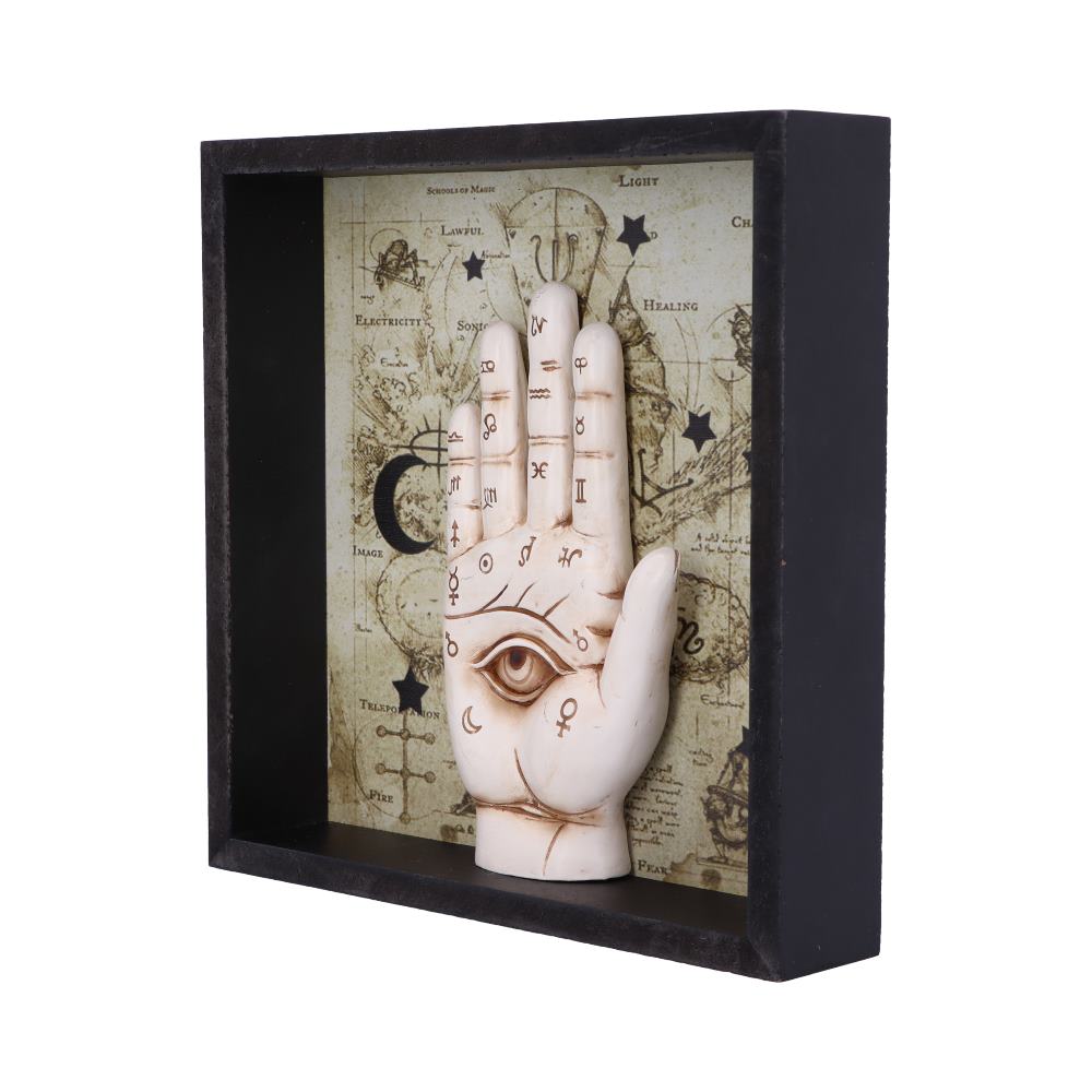 Palmistry Companion Framed Chiromancy Wall Mounted Art