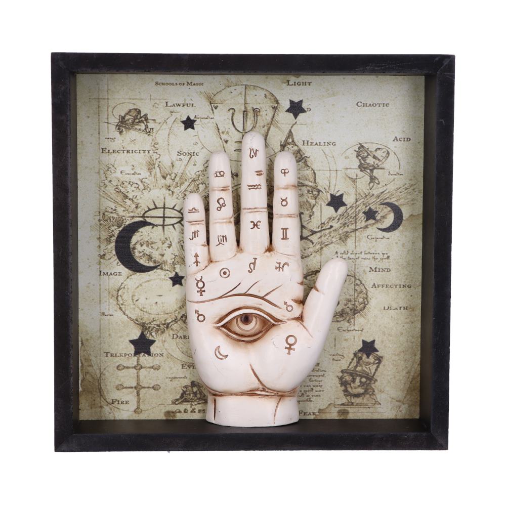 Palmistry Companion Framed Chiromancy Wall Mounted Art