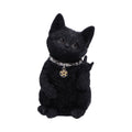Metallicat Black Cat Throwing Rock Hand Sign