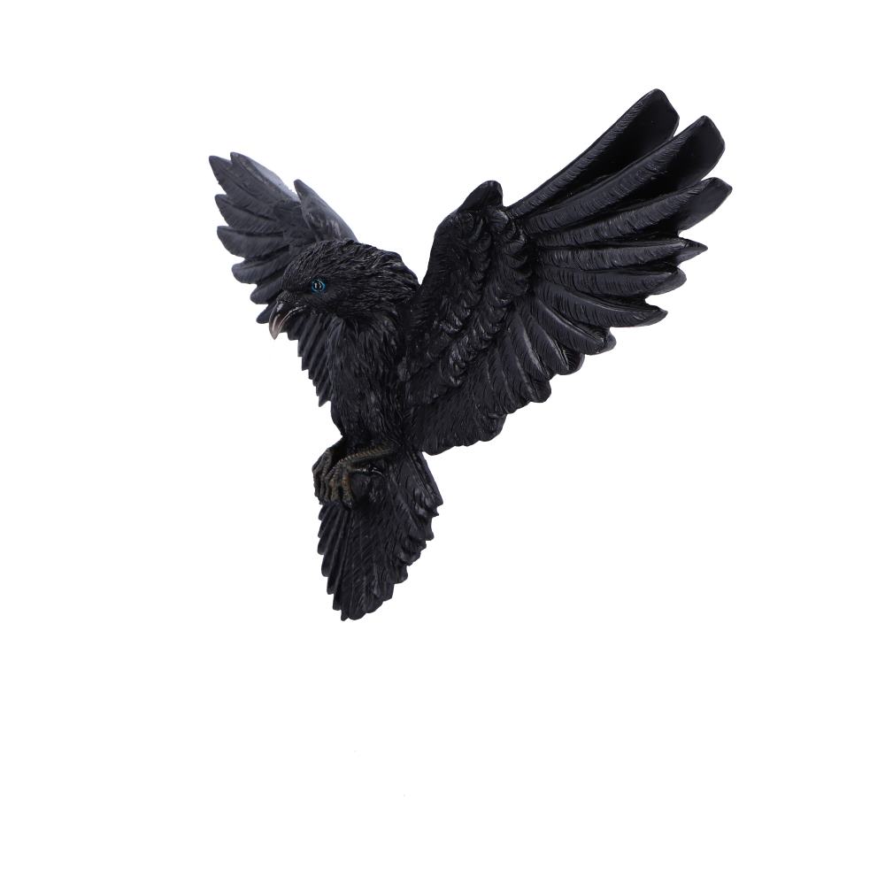 Flight of the Raven Wall Hanging Decoration
