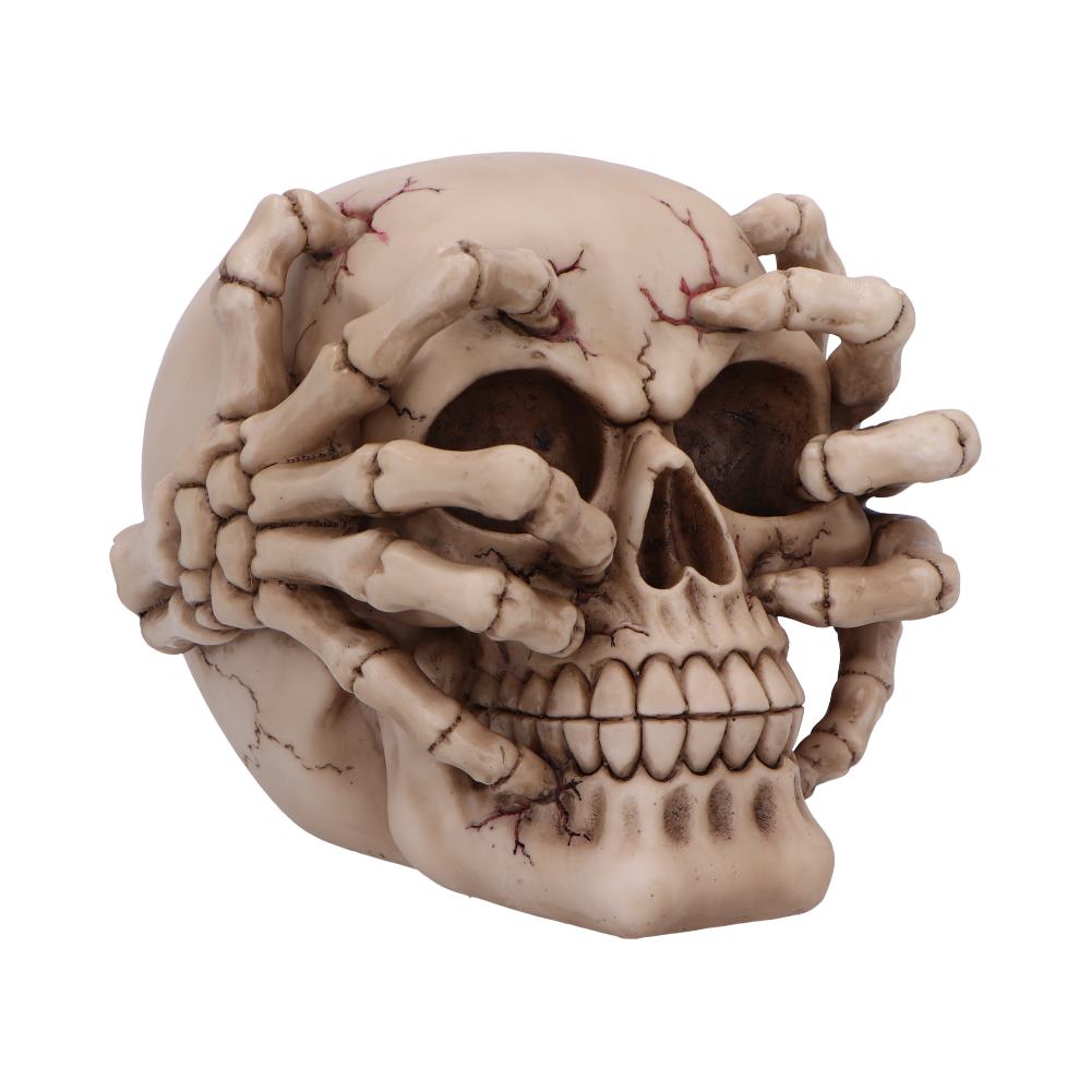 Cracked Decorative Resin Skull